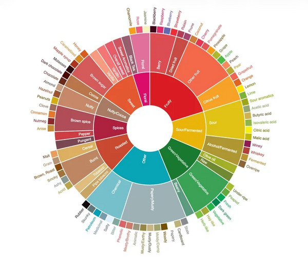How to read coffee tasting notes (and what they actually mean)